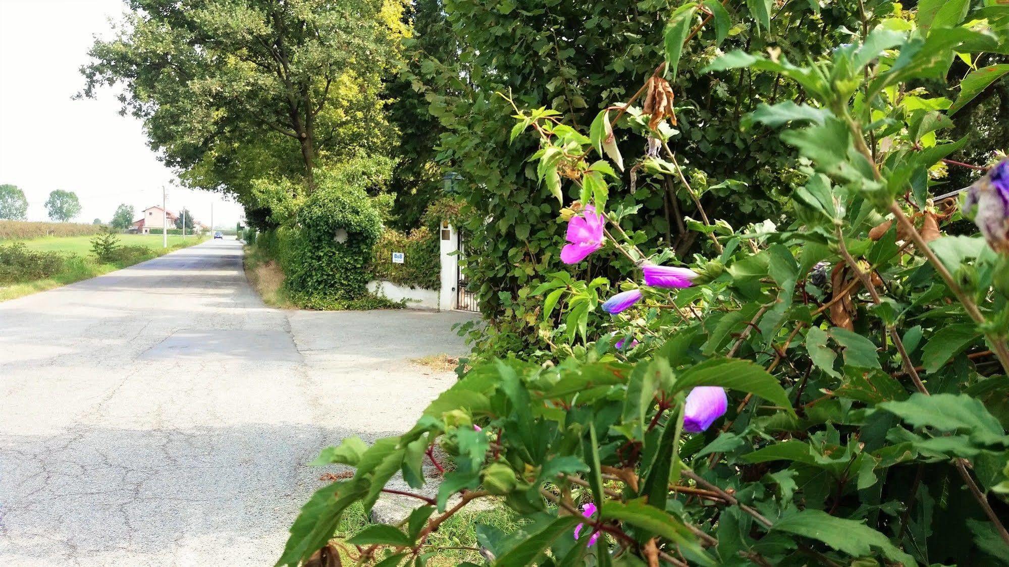 Villa Maria Sole 레벨로 외부 사진