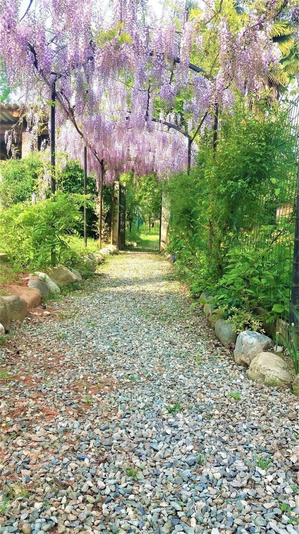 Villa Maria Sole 레벨로 외부 사진